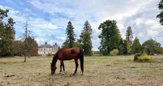 Parcours la Bulle Verte au Château Mauvesin-Barton