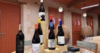 Domaine Jean Christophe Coubris, château La Mouline 
